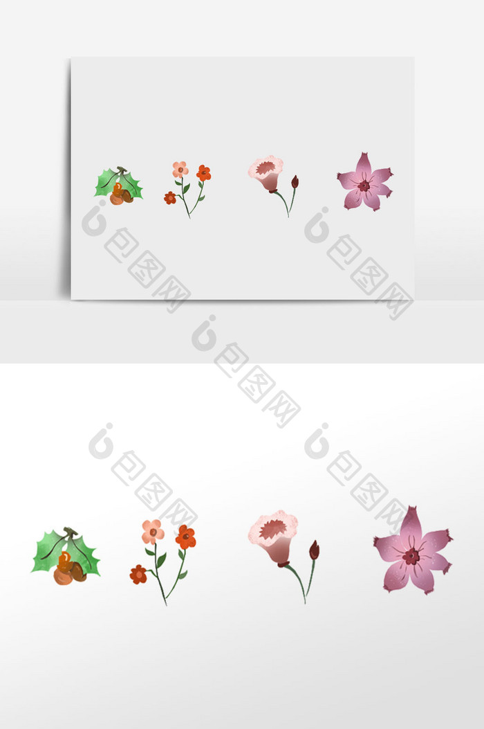 植物花卉 插画 元素 花卉 荷花