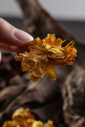 香气芬芳的沽源特产金莲花茶