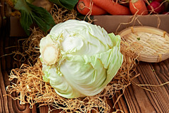 新鲜采摘有机蔬菜圆白菜