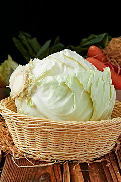 新鲜采摘有机蔬菜圆白菜