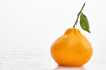 白色背景上摆放的新鲜丑橘