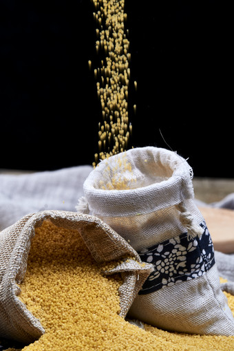 质量上乘的金黄小米粟米