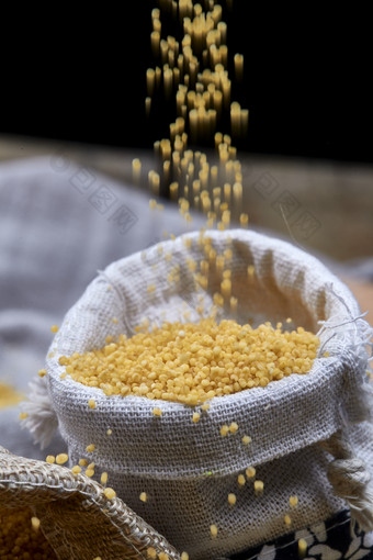 质量上乘的金黄小米粟米