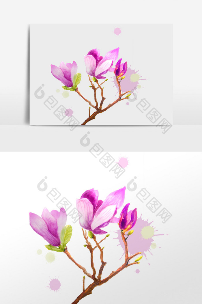 花卉水彩紫色图片