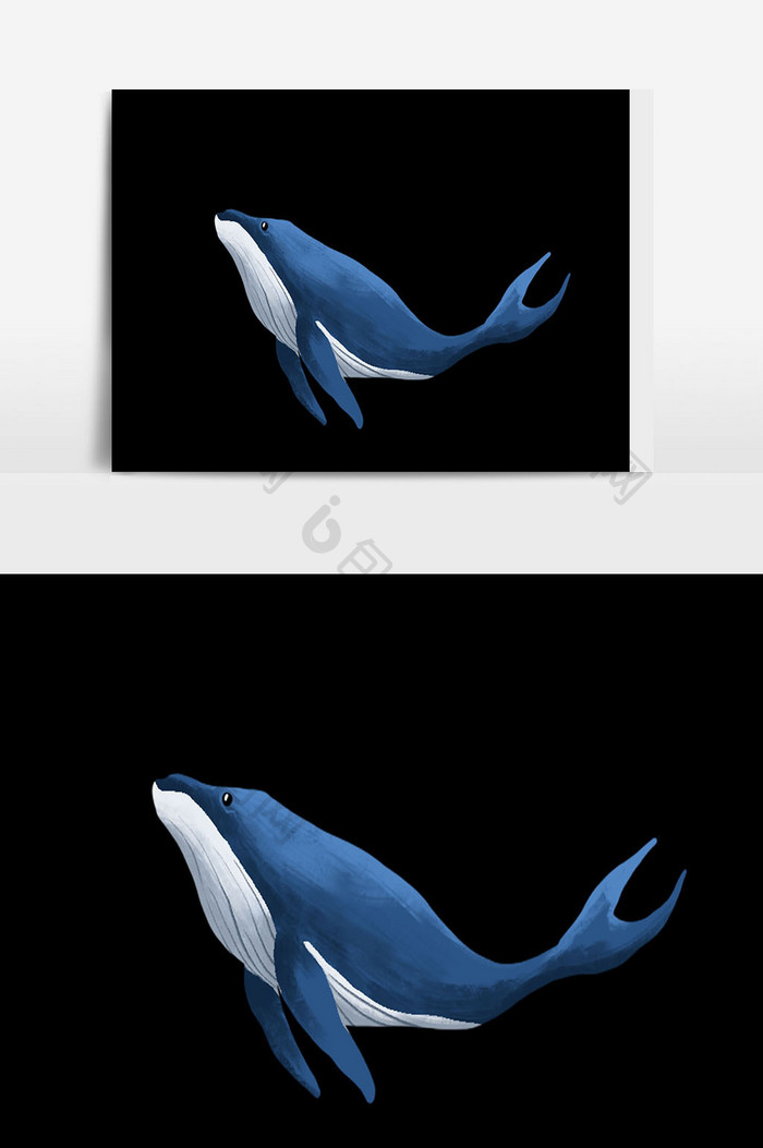 手绘鲸鱼元素设计