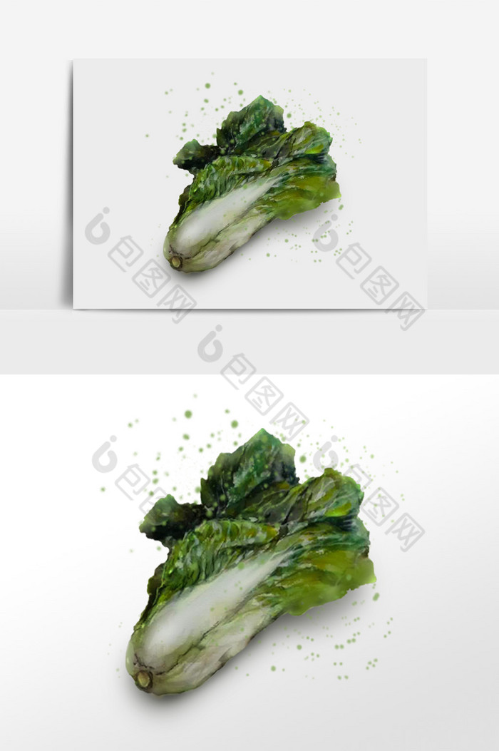 翠绿新鲜蔬菜插画图片图片