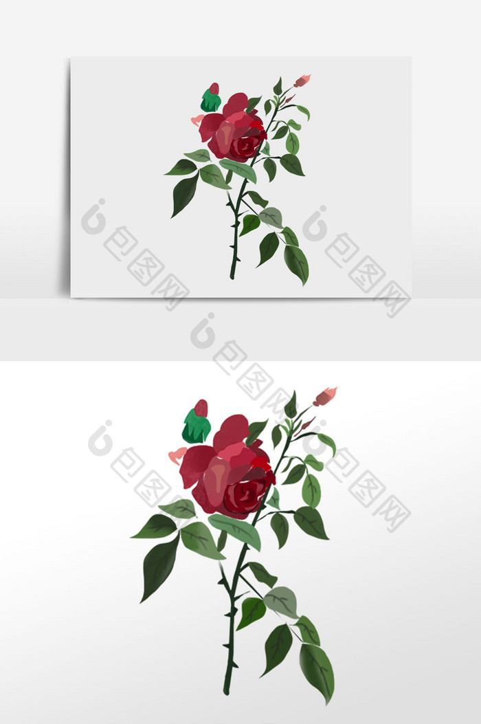 红色玫瑰花卉插画元素