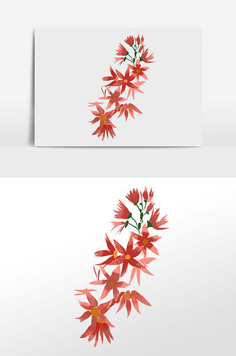 红色枫叶花卉插画元素图片