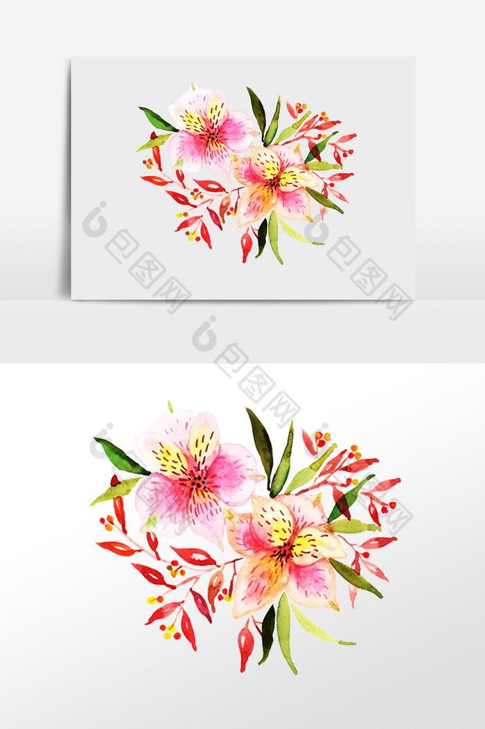 花朵植物图片图片