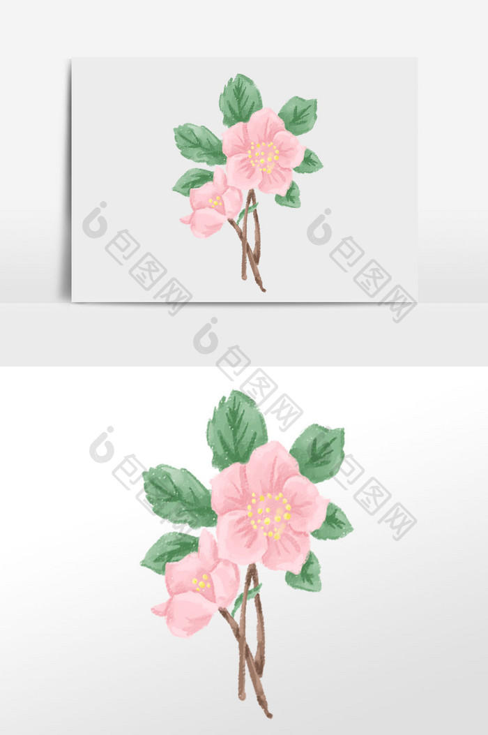 粉色花卉植物插画元素