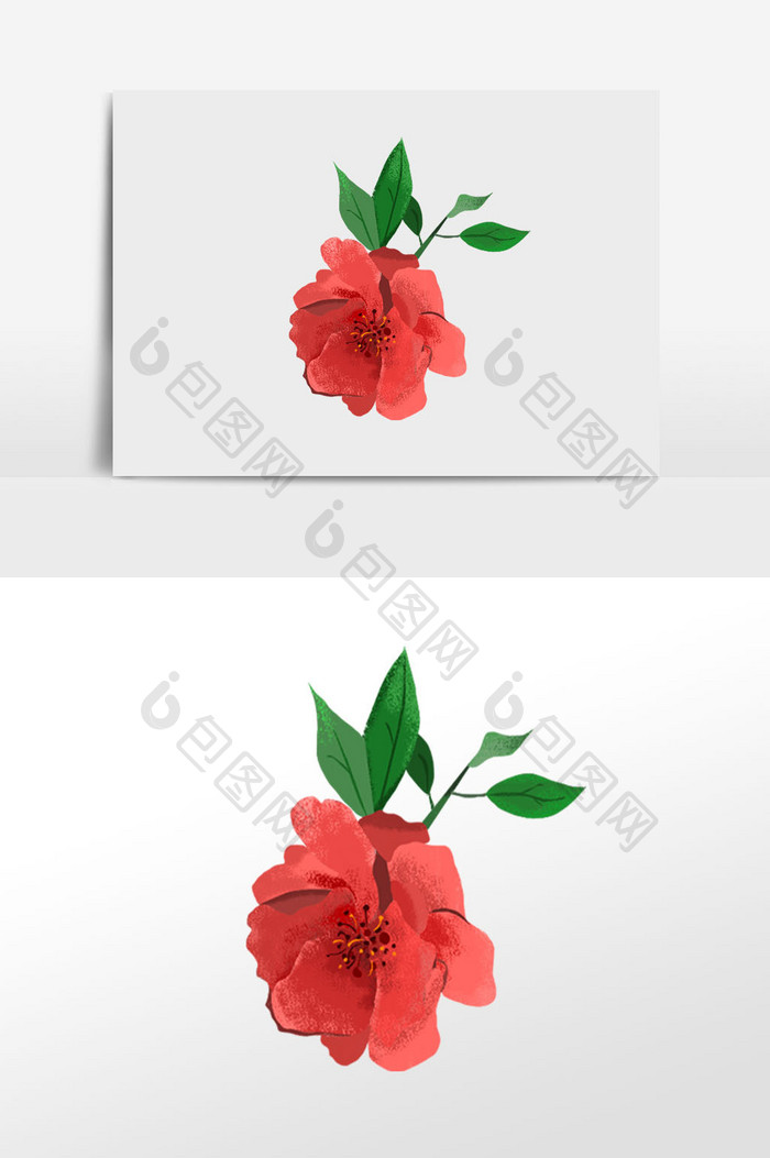 红色玫瑰花卉植物插画元素
