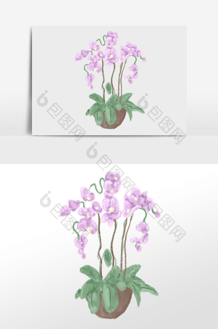 紫色盆景花卉植物插画元素