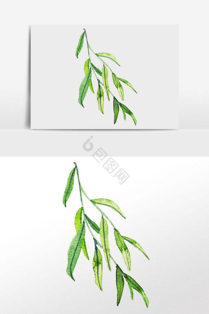 柳枝图片-柳枝素材免费下载-包图网