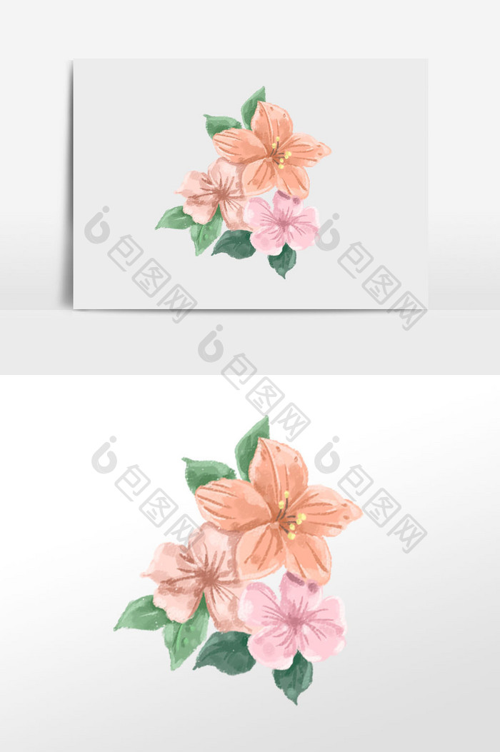 粉色花朵花卉植物插画元素