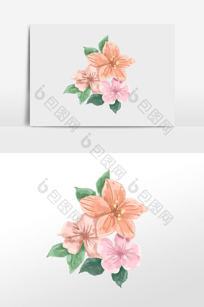花朵花卉植物插画图片图片
