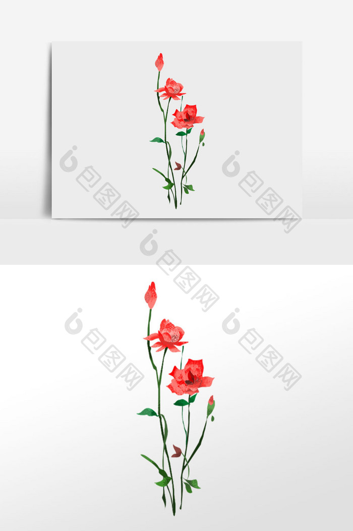 红色植物花卉插画元素