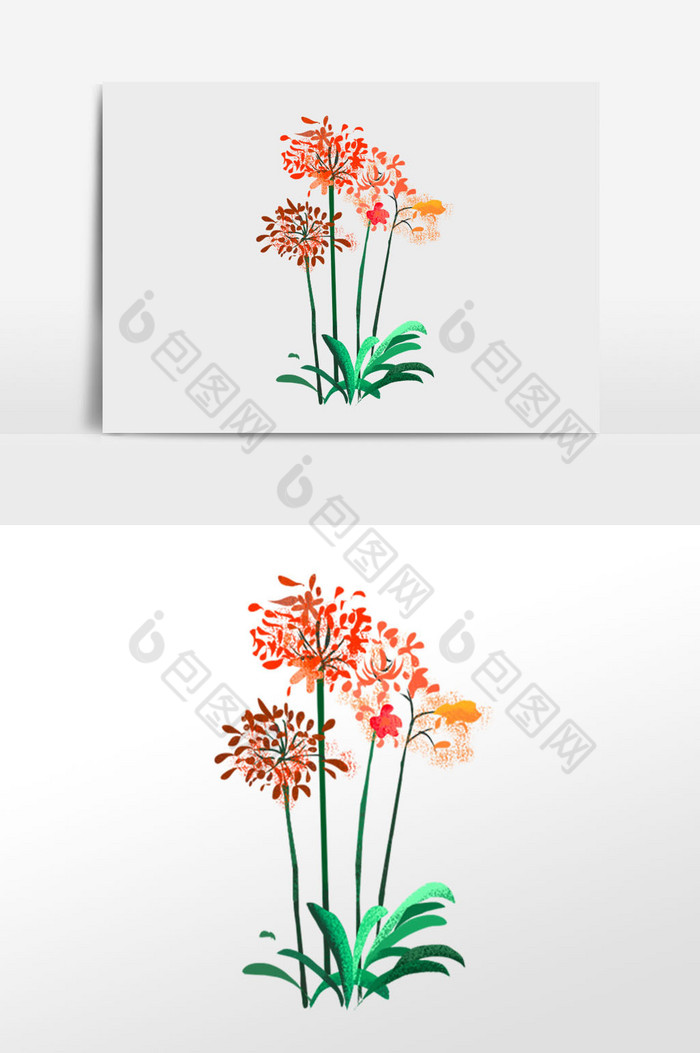 花卉插画植物图片图片