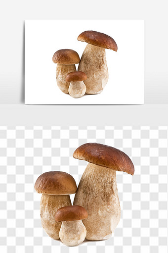 健康食品菌类蘑菇图片