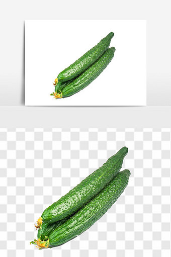 绿色健康食材黄瓜图片