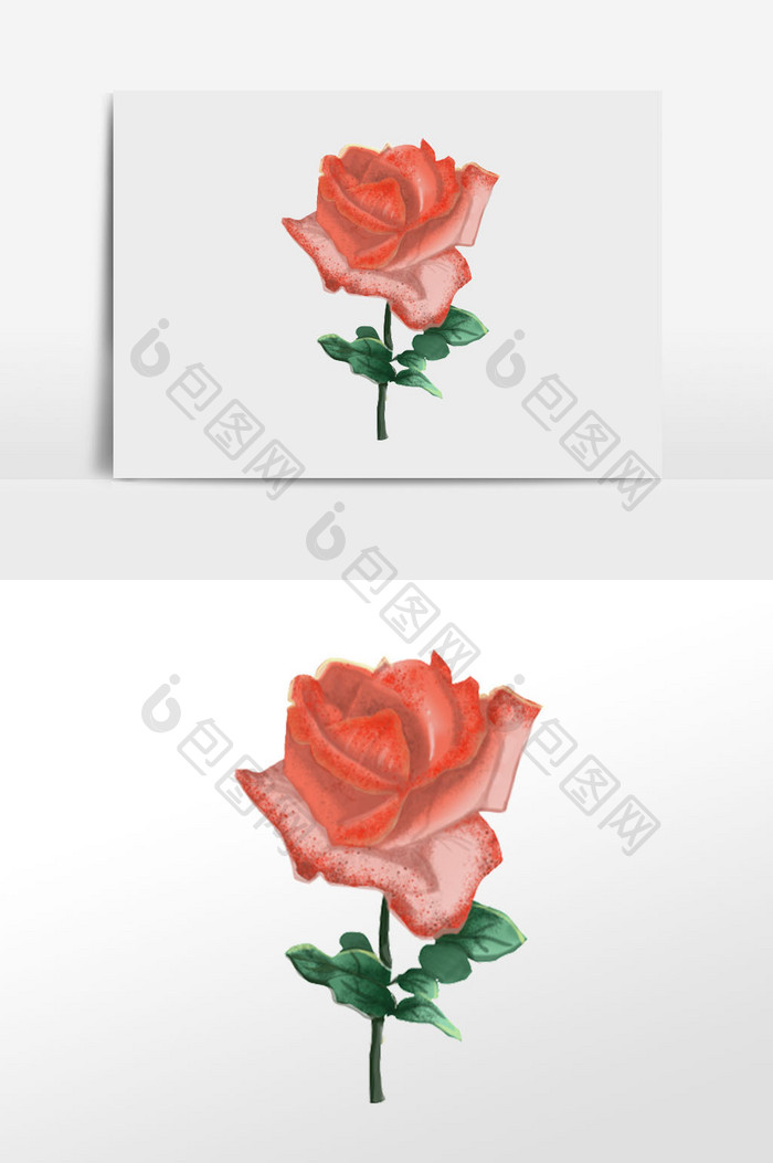 红色玫瑰花卉植物插画