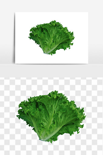 绿色健康蔬菜生菜图片