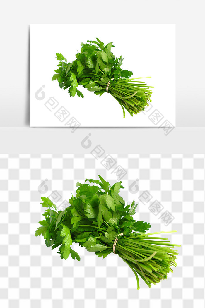 营养健康蔬菜图片图片