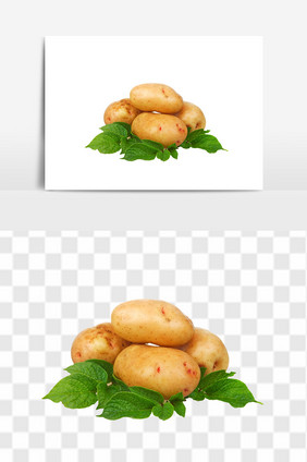 马铃薯土豆蔬菜营养