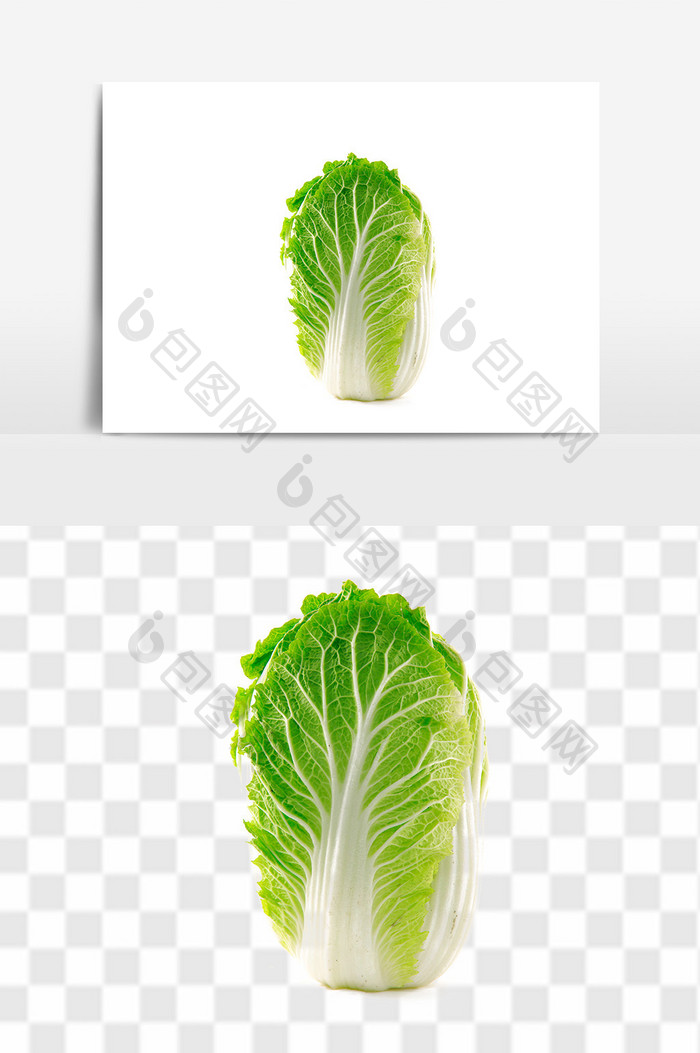 绿色食品小白菜图片