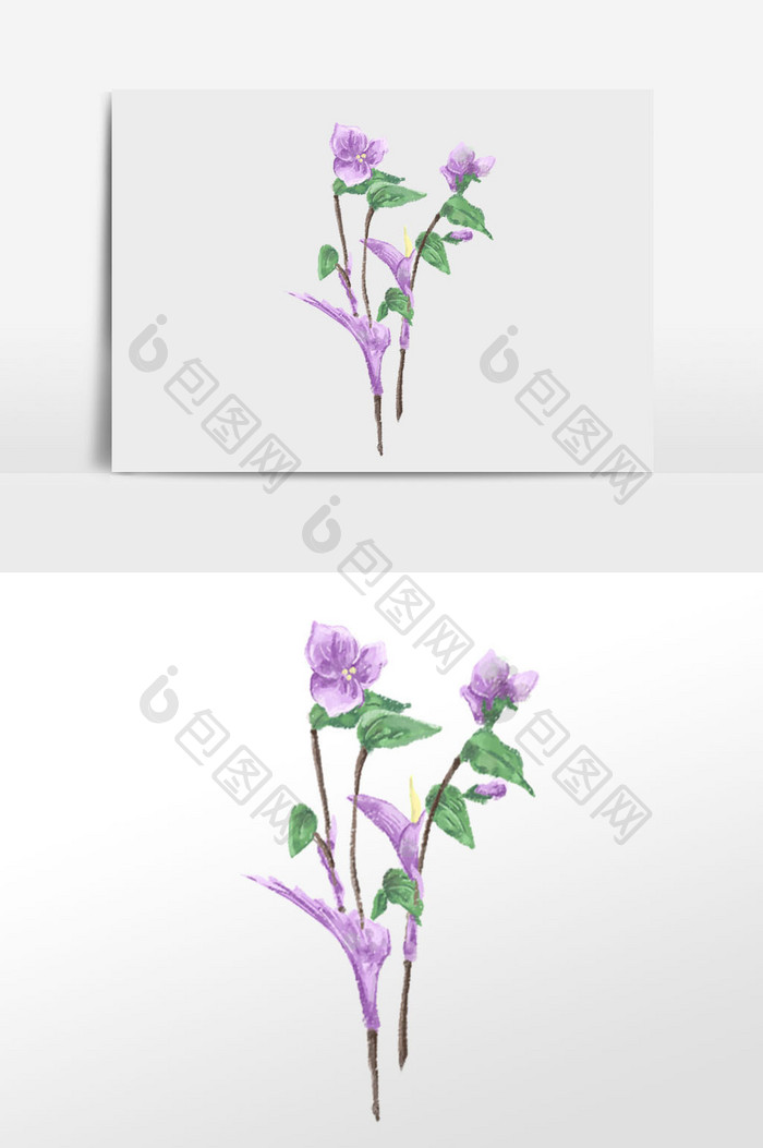 紫色花卉植物绿色插画