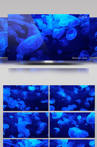 蓝色色调海底世界水母运动背景视频素材图片