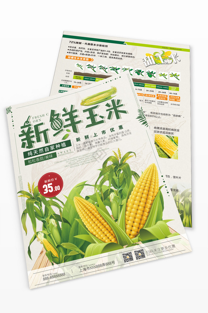 新鲜玉米农业单页图片