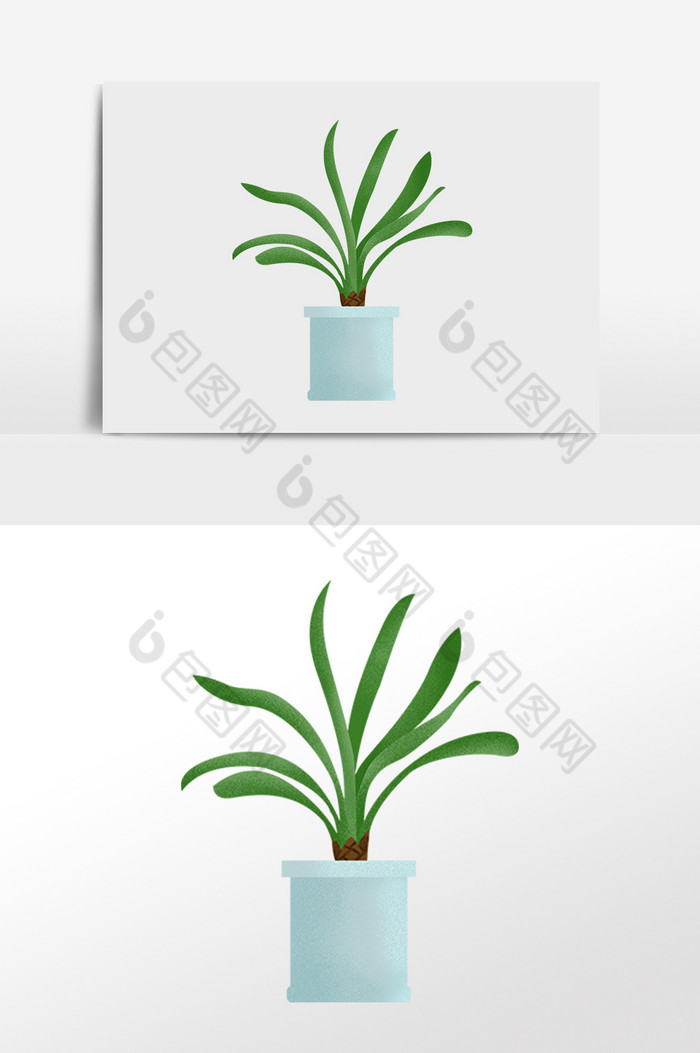 植物盆栽图片图片
