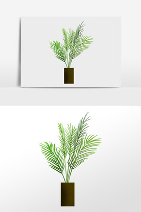 手绘散尾葵盆栽素材图片