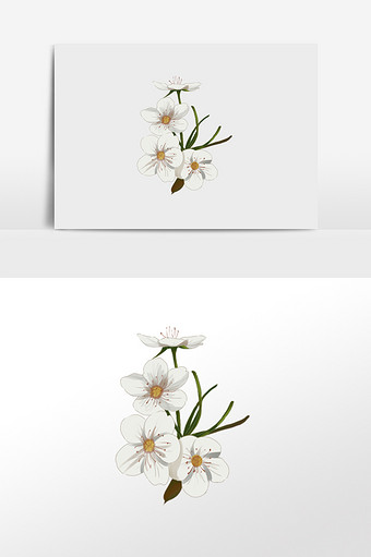 百合花卉插画素材图片