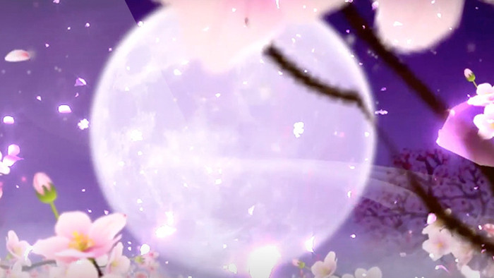 中国风格紫色色调月亮梅花背景led视频