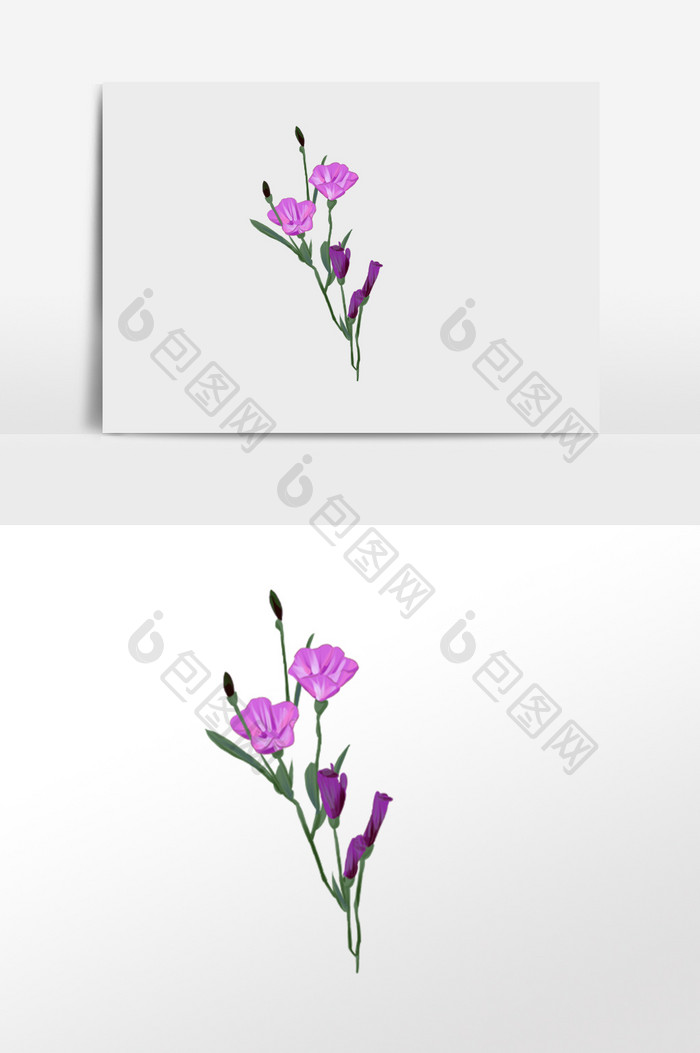 紫色花卉插画手绘素材
