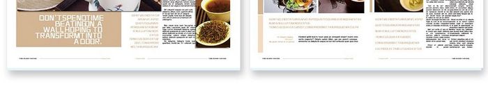 古典大气茶叶产品宣传画册