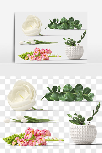 兰花植物元素PNG图片
