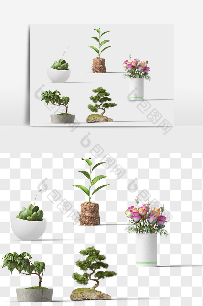 盆栽【PSD素材】-包图网