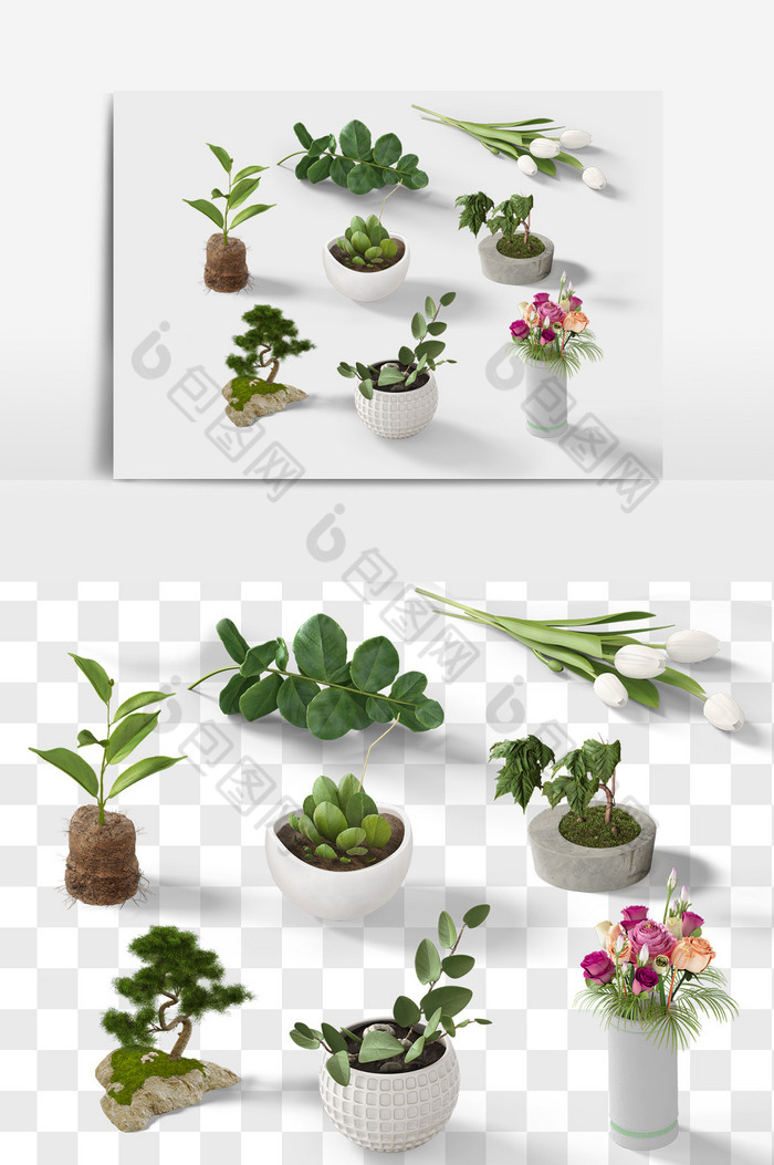 植物盆栽组合PNG图片图片
