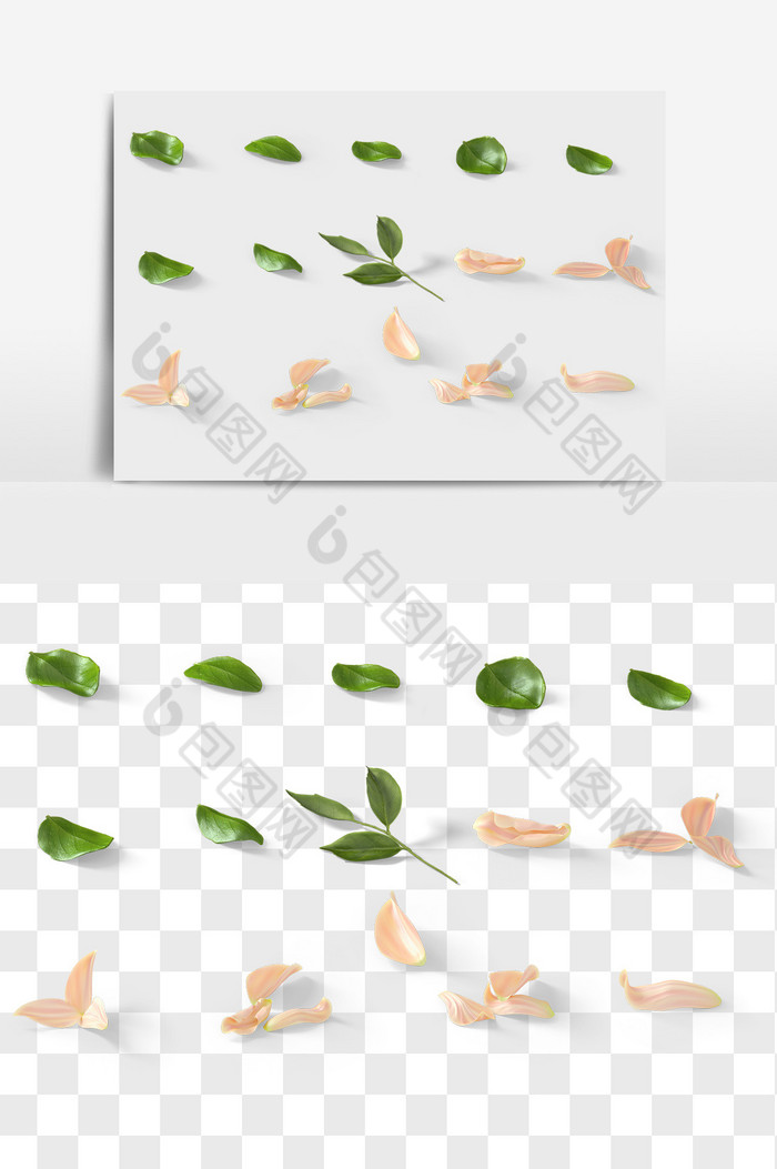 植物叶子花瓣组合PNG图片图片