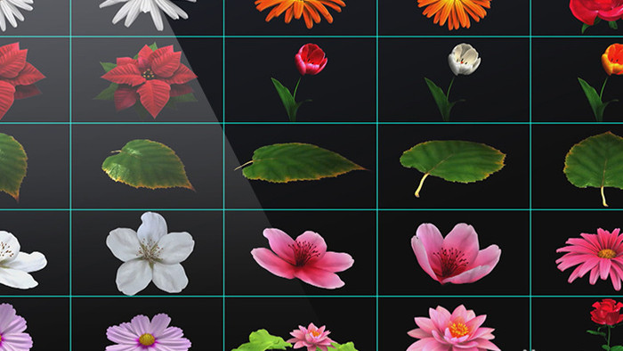 108组花卉绿植花纹元素AE模板