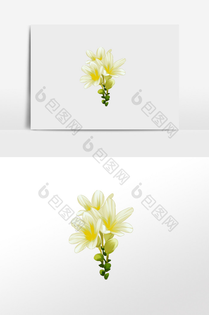 黄白色花卉手绘素材