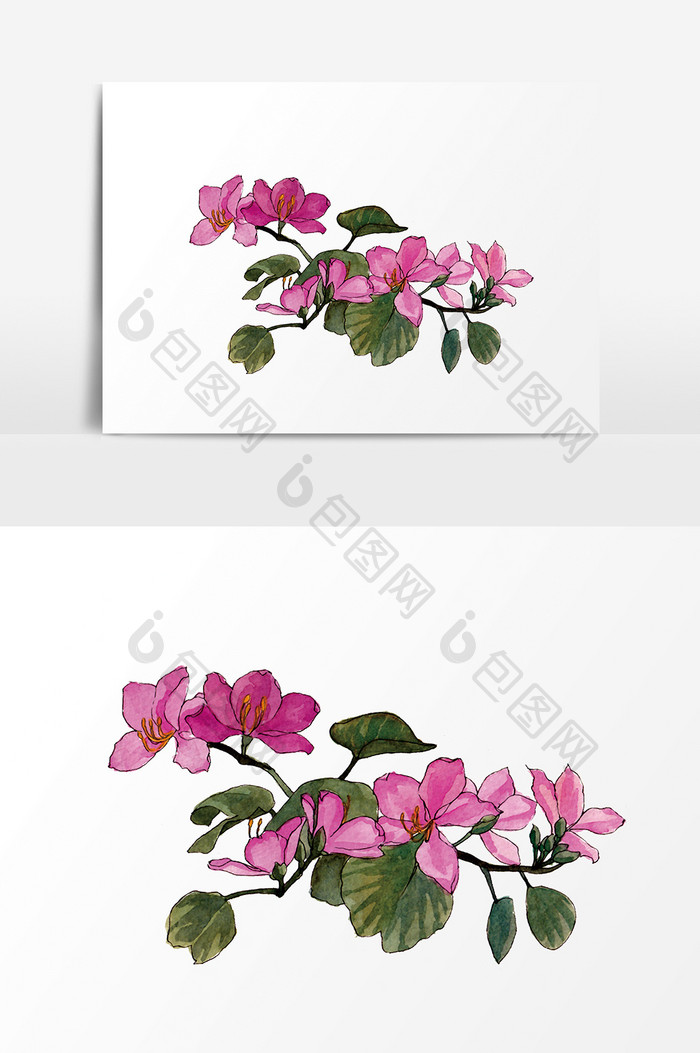 粉红清新水彩兰花花卉元素