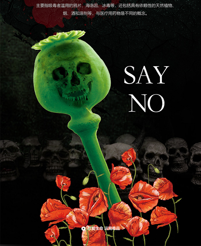 黑绿罂粟珍爱生命远离毒品手机海报