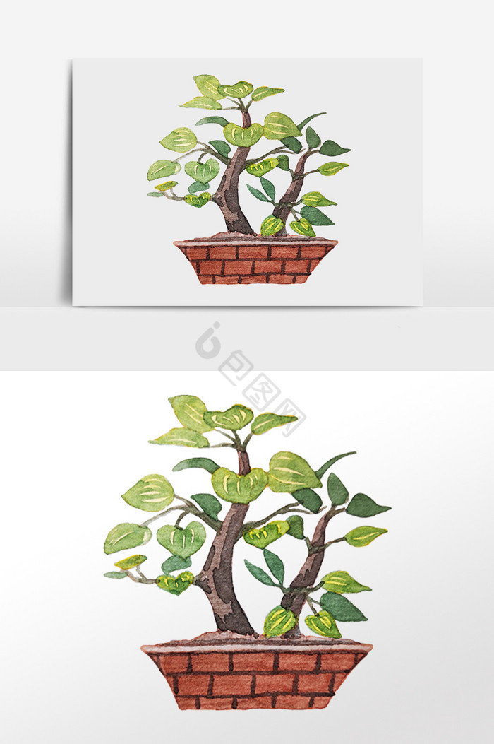 彩绘小树盆栽图片