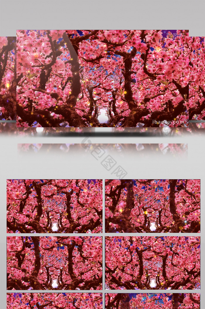 桃花树动态背景LED大屏视频