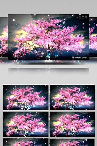 唯美夜色中的流光樱花树动态背景视频图片