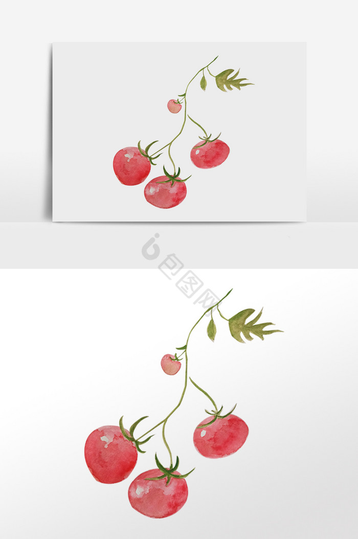水果小西红柿图片