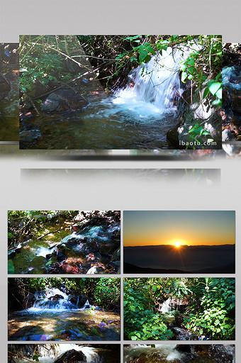 实拍原始森林里面的小溪青松高清视频素材图片